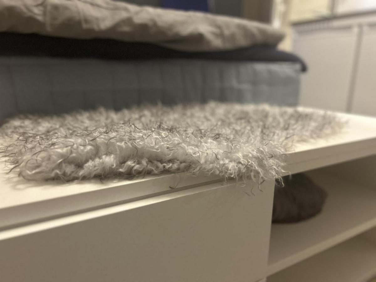 New Studio Apartment In Tromso - Aurora Hotspot エクステリア 写真
